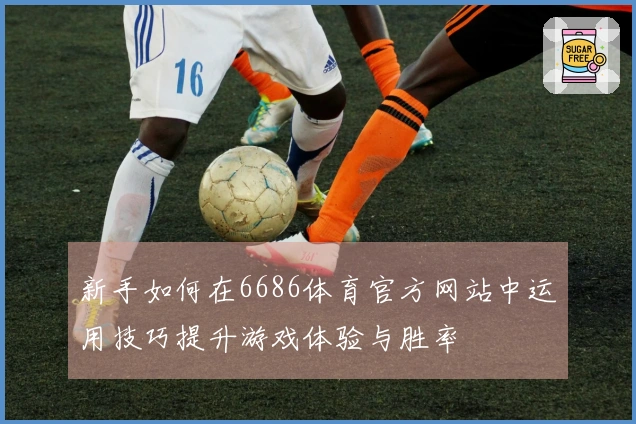 新手如何在6686体育官方网站中运用技巧提升游戏体验与胜率